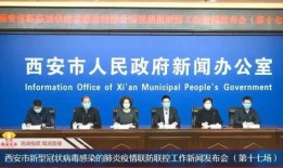 西安飞翔最新爆料新闻报道,揭秘项目进展与未来规划